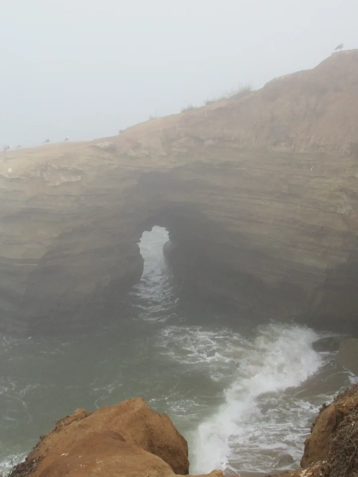 Coastal geology at Sunset Cliffs in San Diego