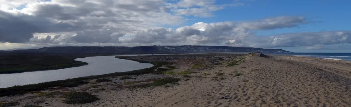 South Bay wetland and horizon